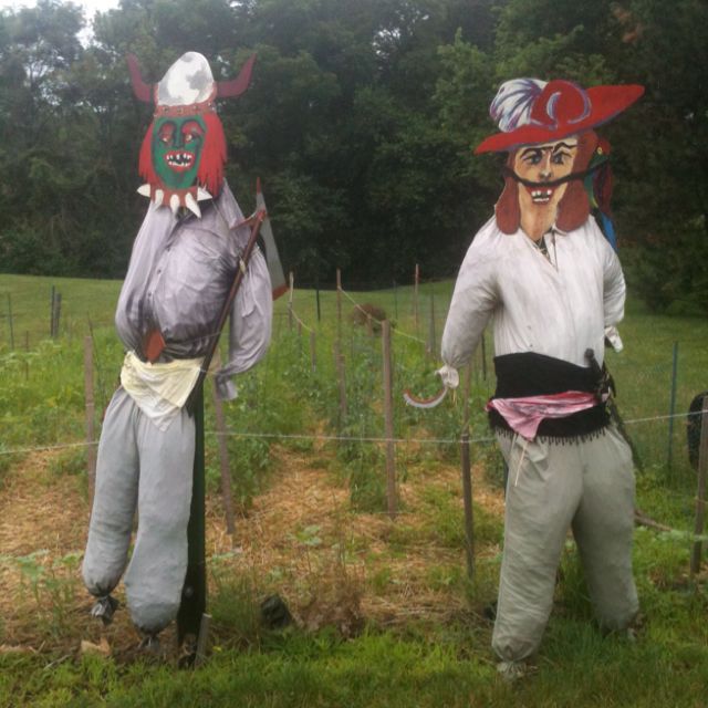 Cool scarecrows Halloween Scarecrow, Scarecrow Ideas, Garden Crafts ...