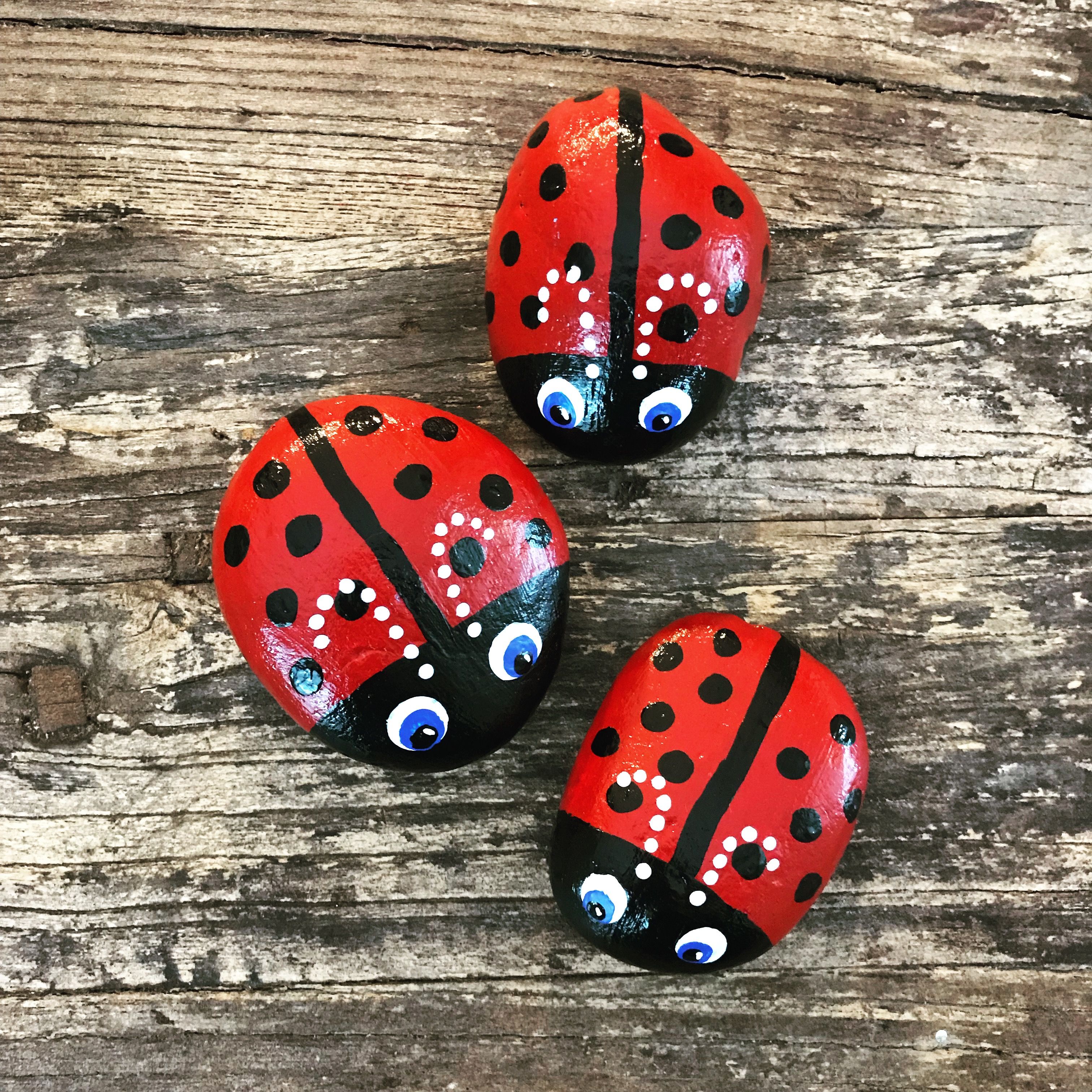 15 Choices easy rock painting ideas ladybug You Can Get It For Free ...