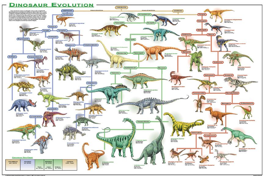 Dinosaur Time Periods Chart