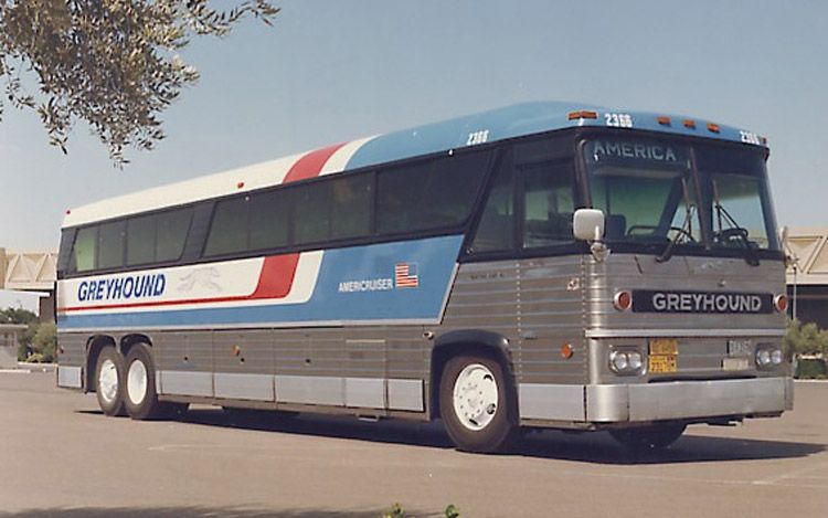 an american greyhound bus parked in a parking lot next to a tree and ...