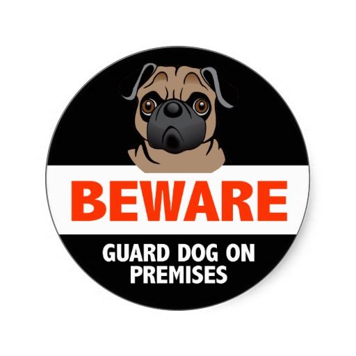 Beware of Dog Sign Stickers | Dog stickers, Dog signs, Sticker sign