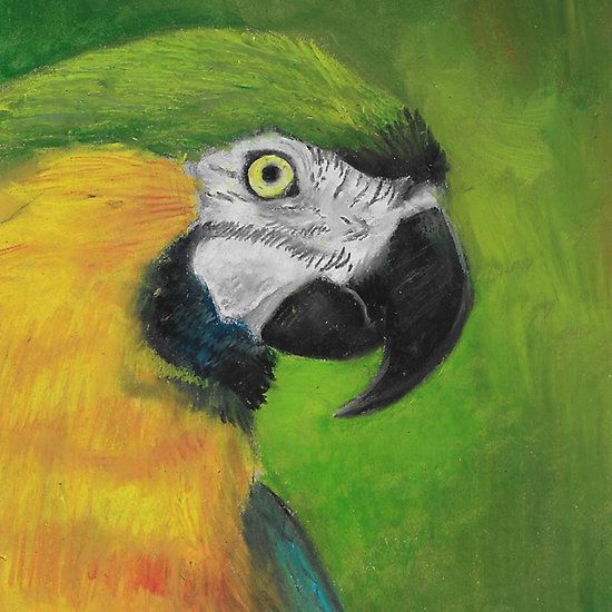 green and gold parrot macaw original oil pastel painting by AlustrielDay