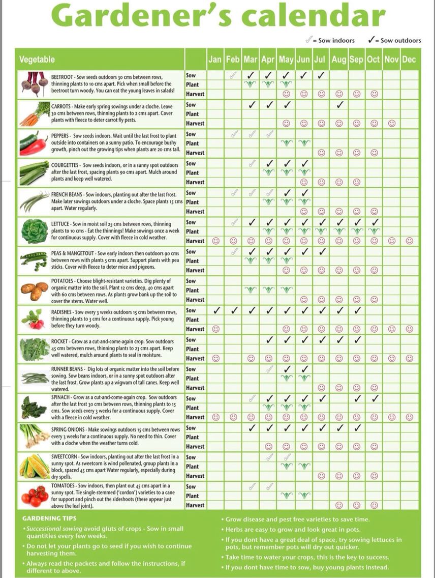 Planting calendar UK includes harvesting | Garden calendar, Garden ...