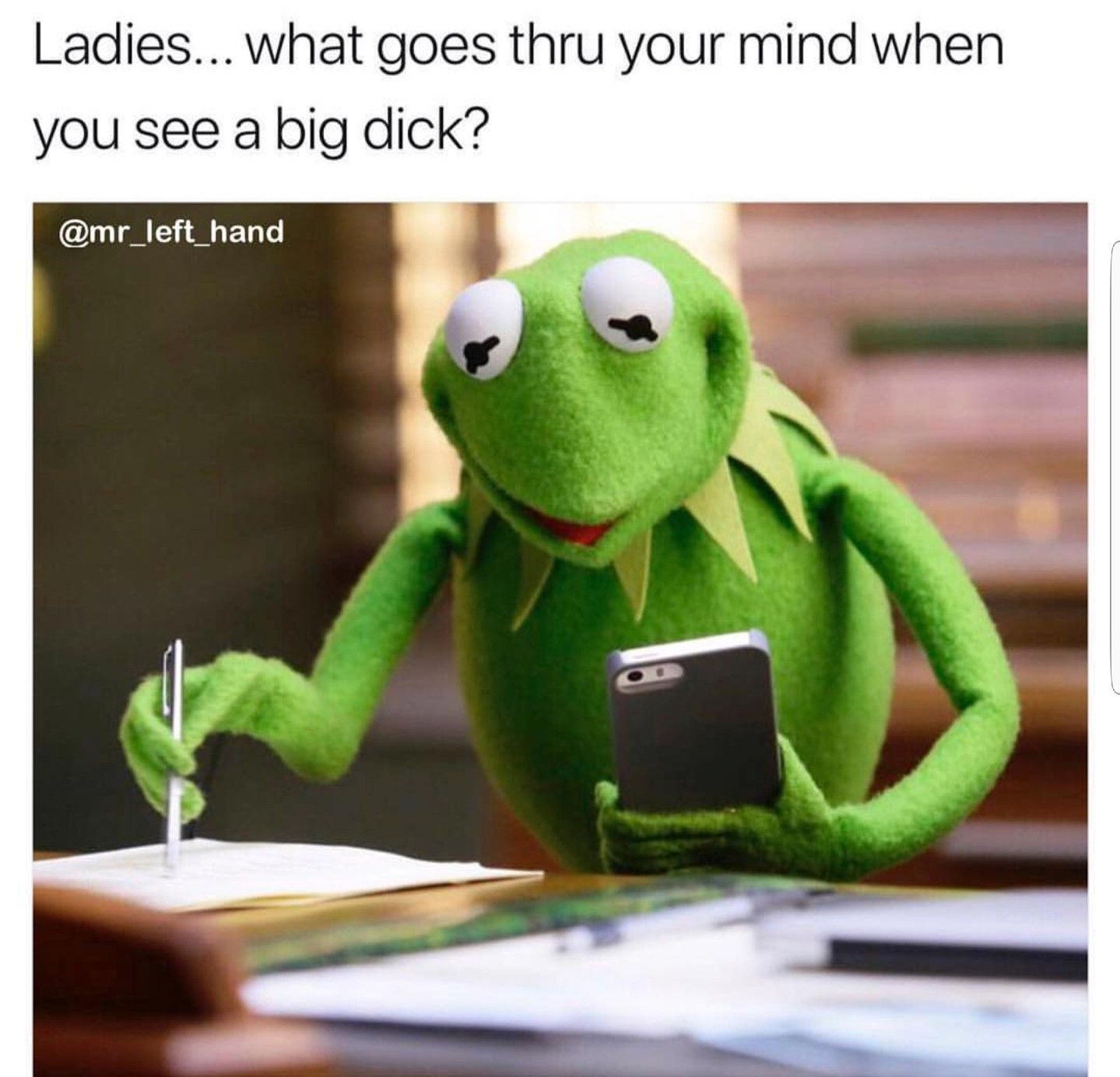 Funny Kermit Gifs Muppets Kermit Gif Tumblr | Sexiz Pix