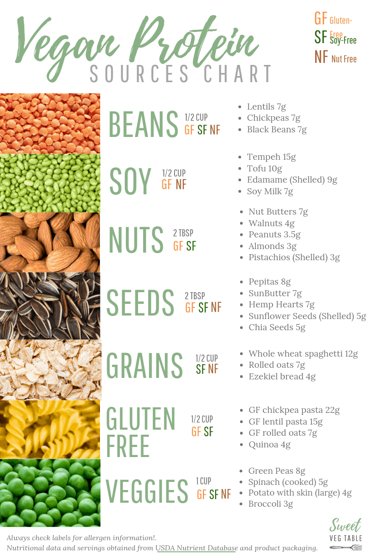 Vegan Protein Sources Chart, Vegan Protein Options, High Protein Vegan ...