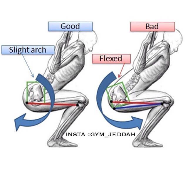 Posterior Pelvic Tilt and Squat Depth | 𝙏𝙝𝙚 𝙋𝙧𝙚𝙝𝙖𝙗 𝙂𝙪𝙮𝙨 | Online ...