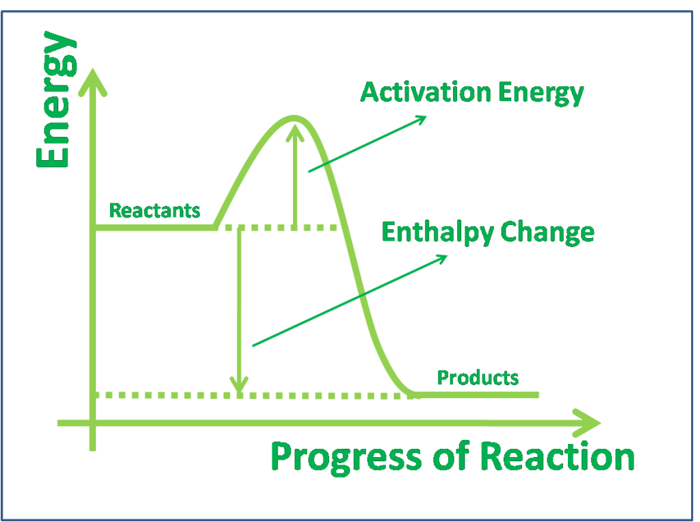 New Why Is Respiration Considered An Exothermic Reaction New - Sharing ...