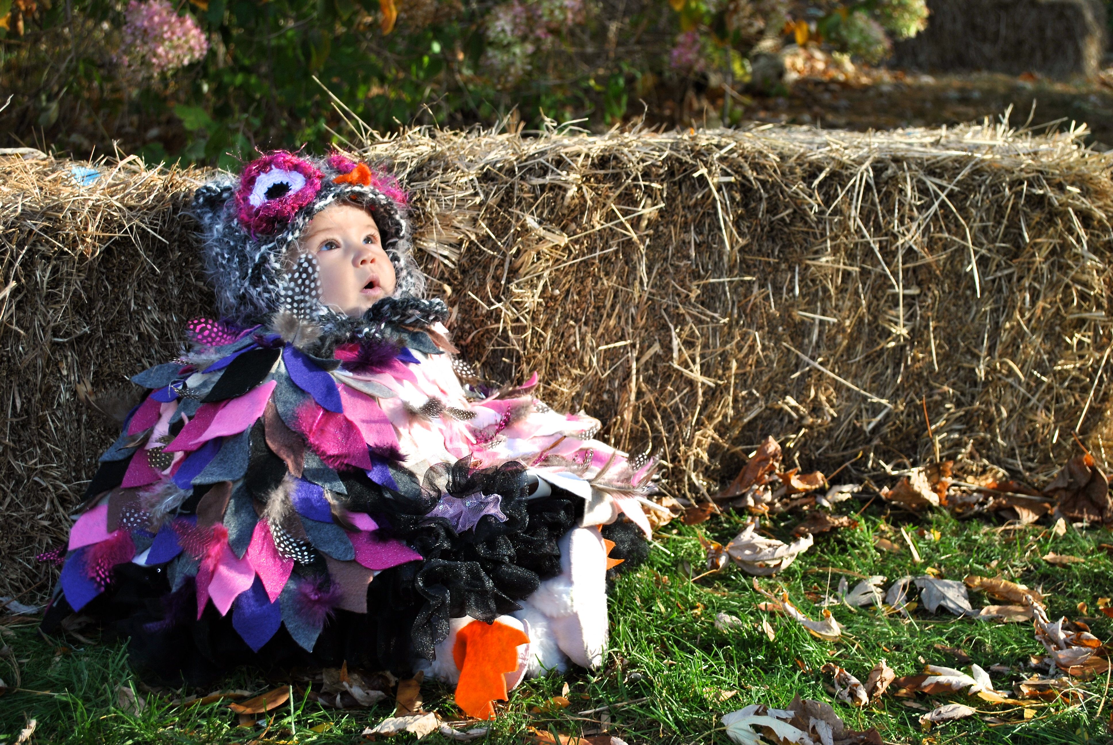 Baby girl owl costume completely homemade from feathers to feet, to ...