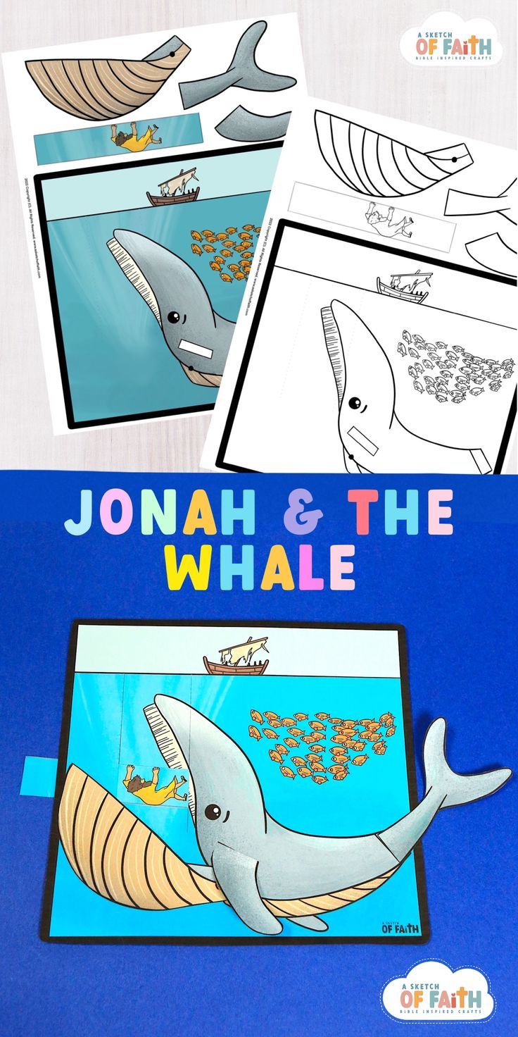 Jonah and the Whale Craft | Jonah and the whale, Bible crafts, Whale crafts