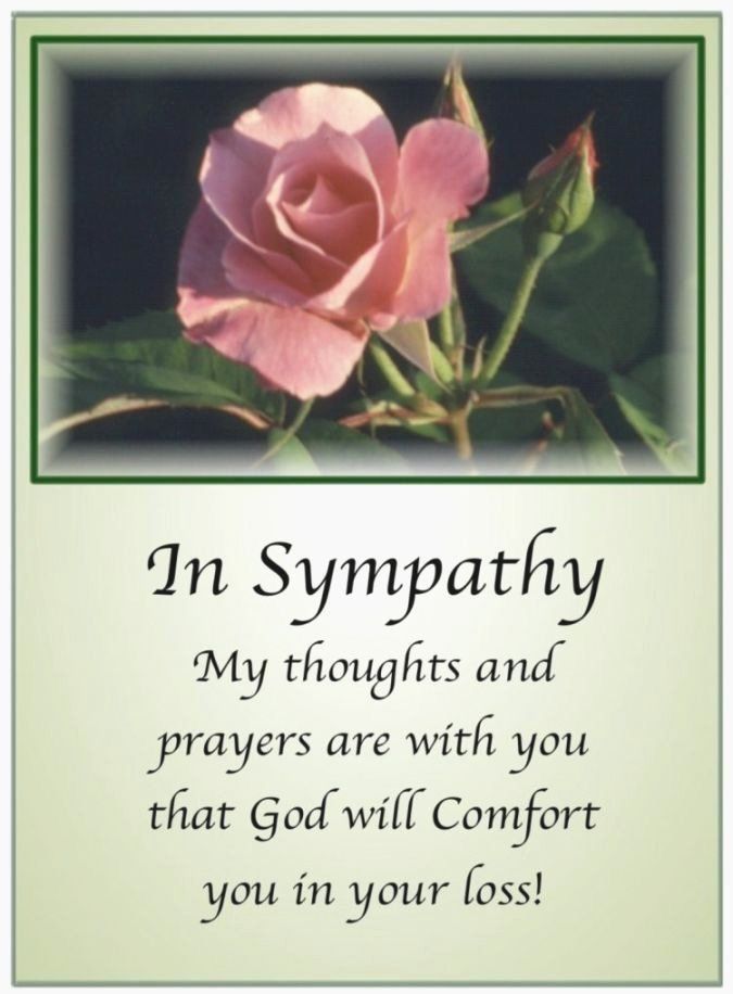 Pin by Barbara Glover on Sympathy quotes | Sympathy card messages ...