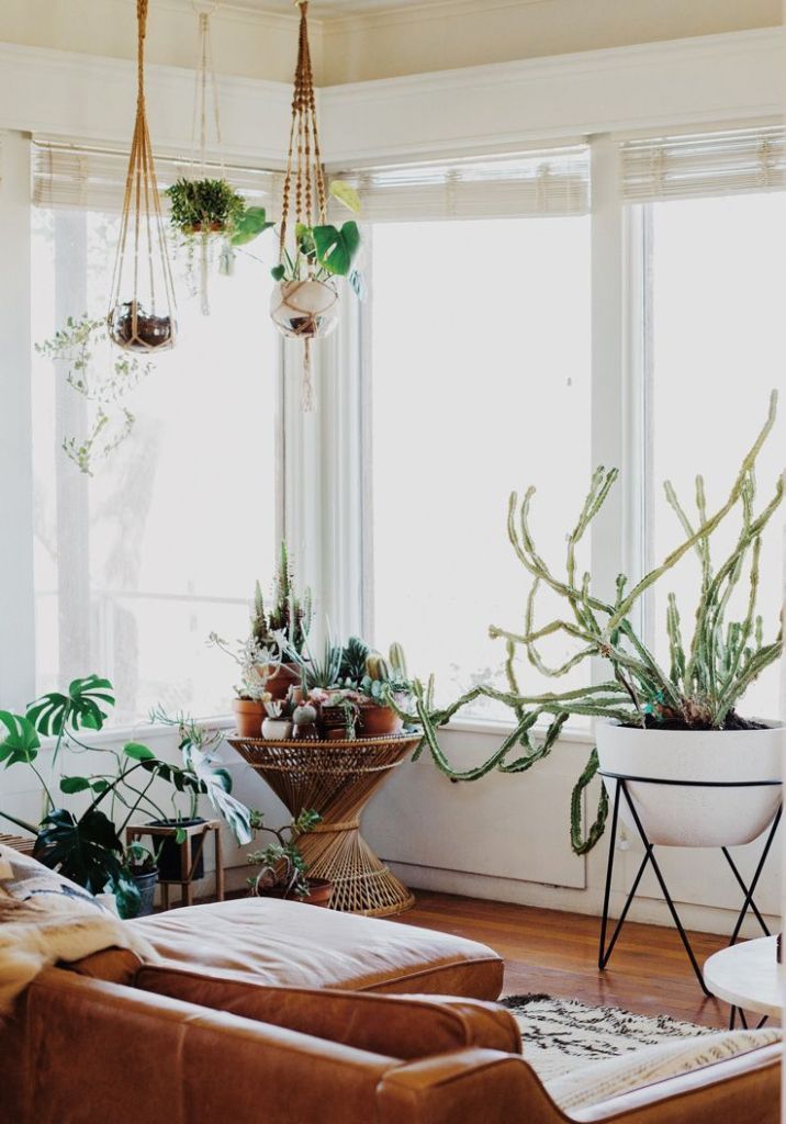 22 How to Decorate a Room with a Jungle Theme Vintagetopia in 2020