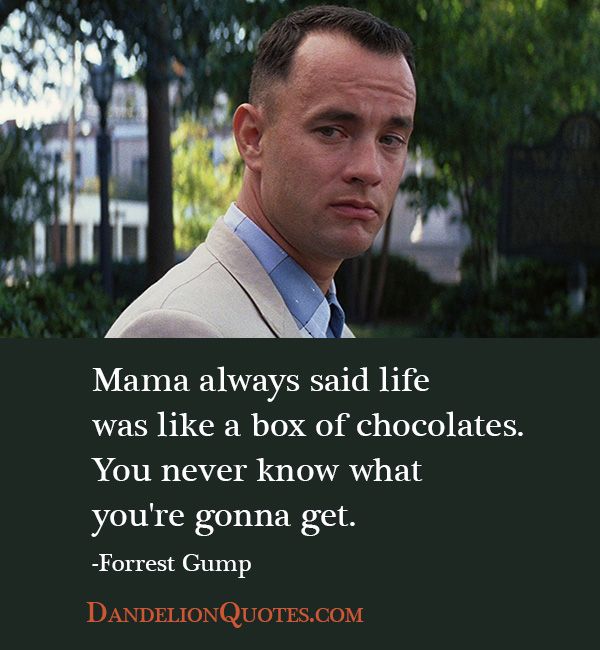 Life Is Like A Box Of Chocolates Funny Quotes