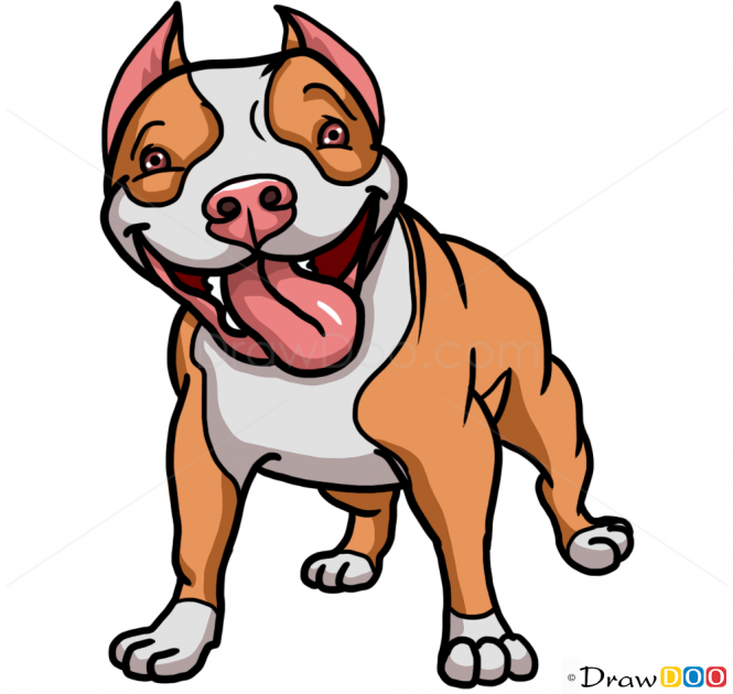 How to Draw Cute Pit Bull, Dogs and Puppies Puppy Drawing Easy, Pitbull ...