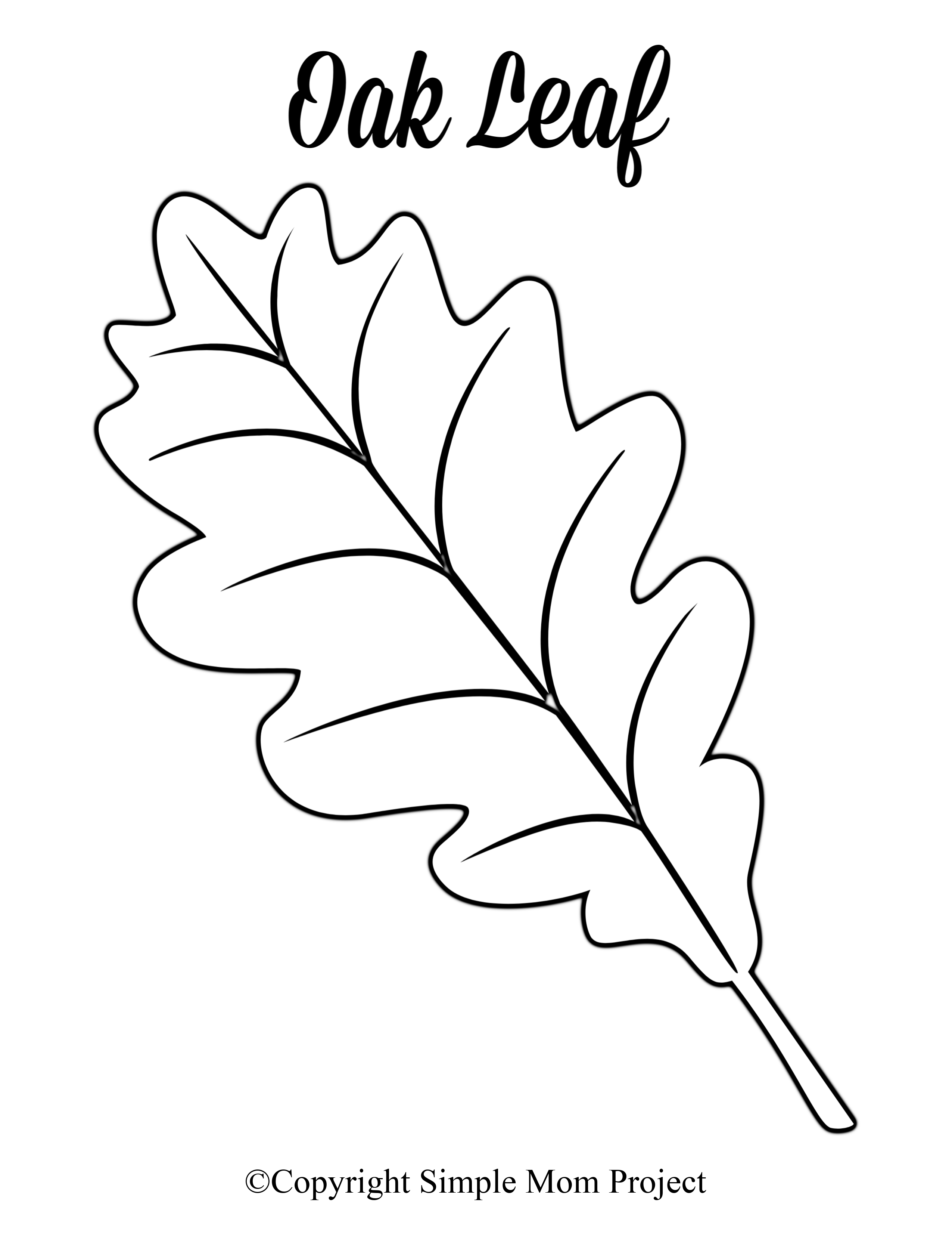 Fall Leaf Printable Patterns