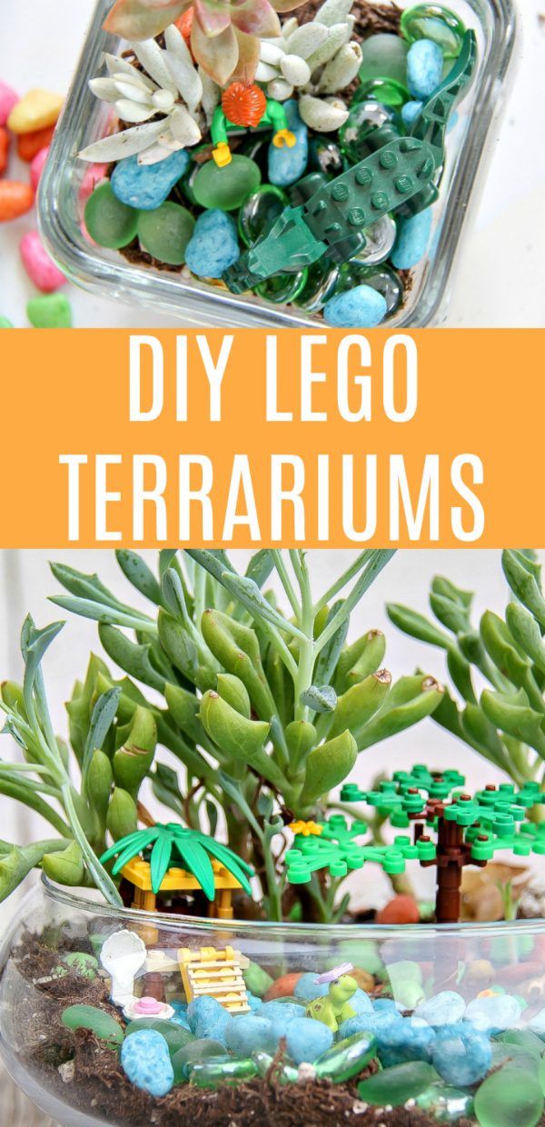 DIY LEGO Terrariums Kids Craft Lego Projects, Projects For Kids, Crafts ...