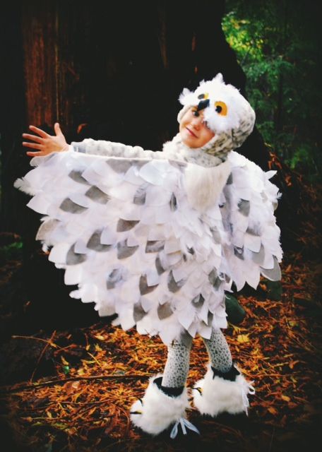 Owl Costume Kids