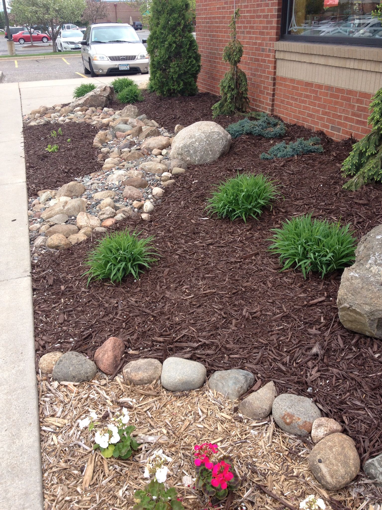 Mulch & rock! Small front yard landscaping, Low water landscaping