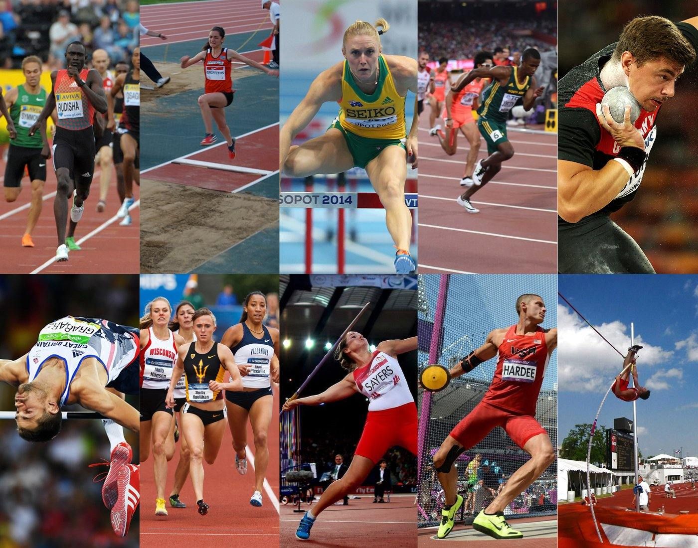 Decathlon association governing body federation Artofit