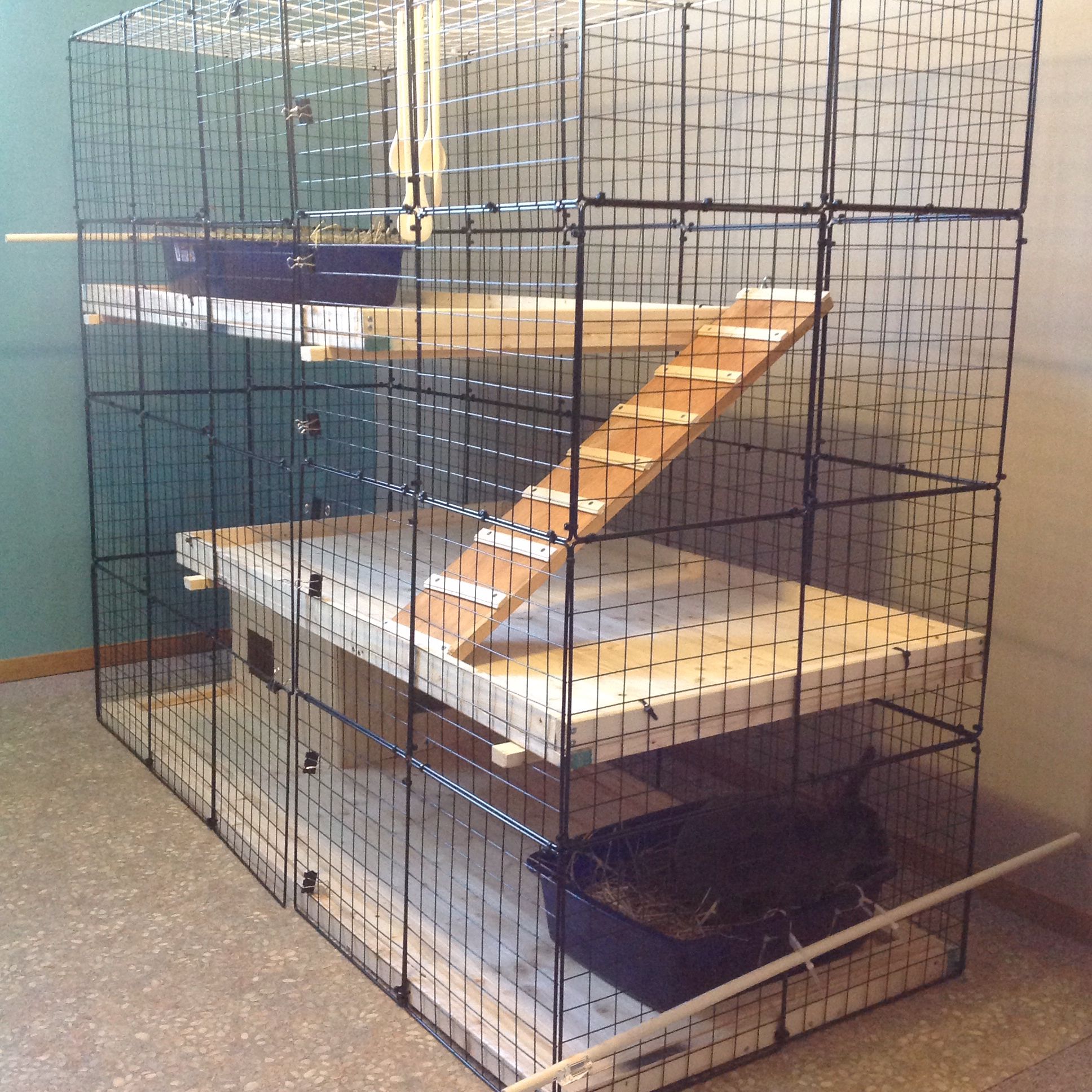 Our new rabbit condo. Spruce 1x2 and spruce tongue and