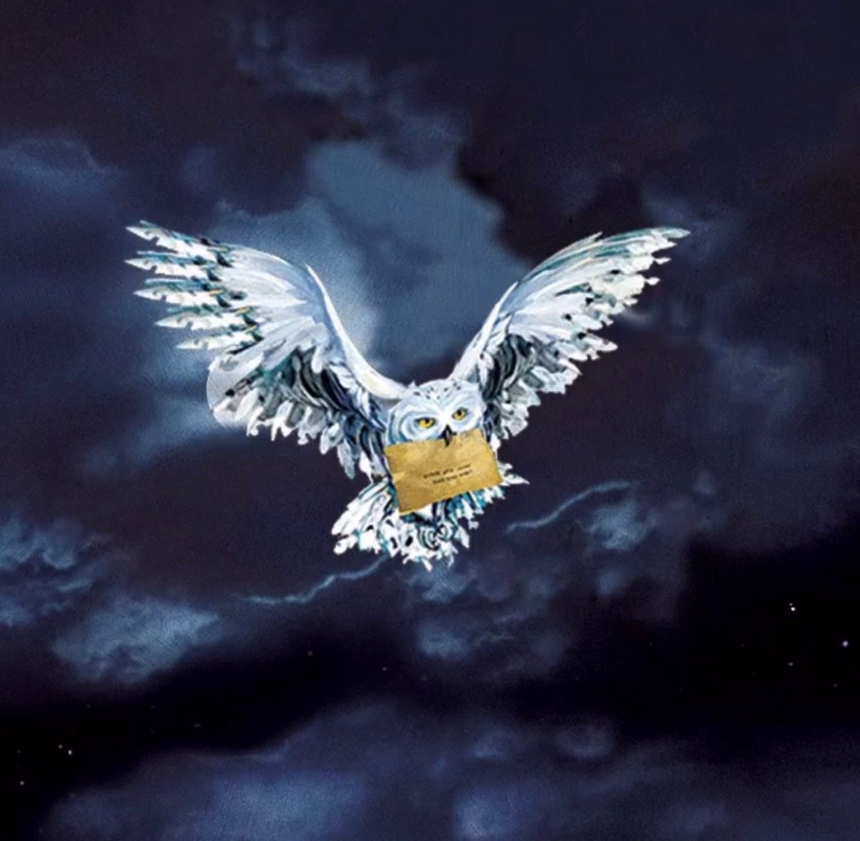 Hedwig the Owl. Harry Potter fandom. White owl. Snowy owl. Messenger ...