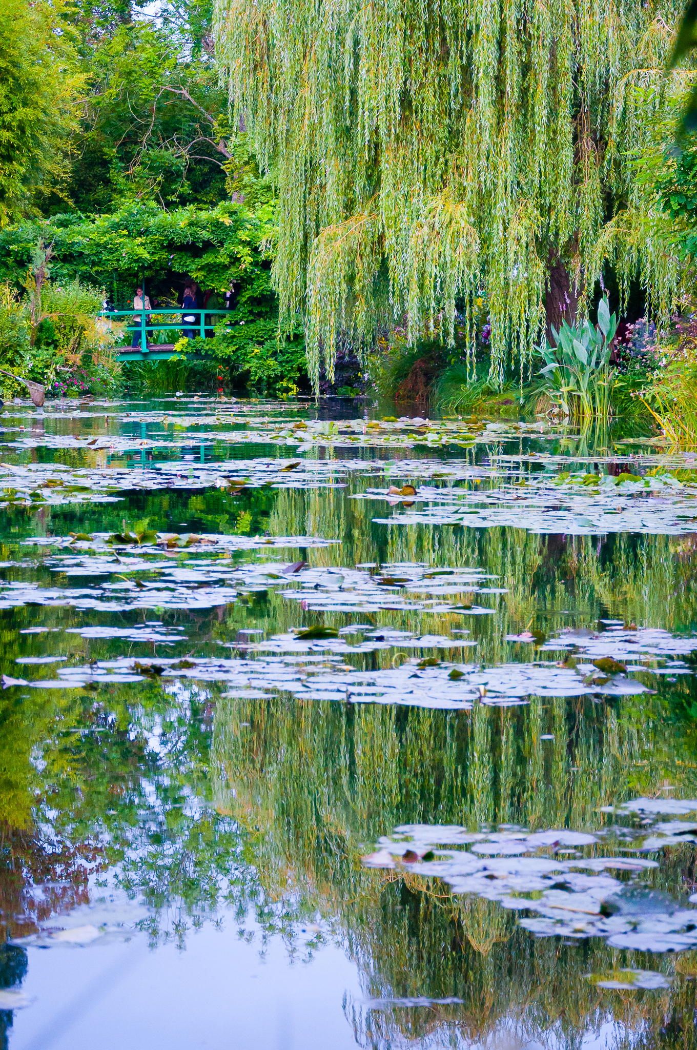 Claude Monet Garden