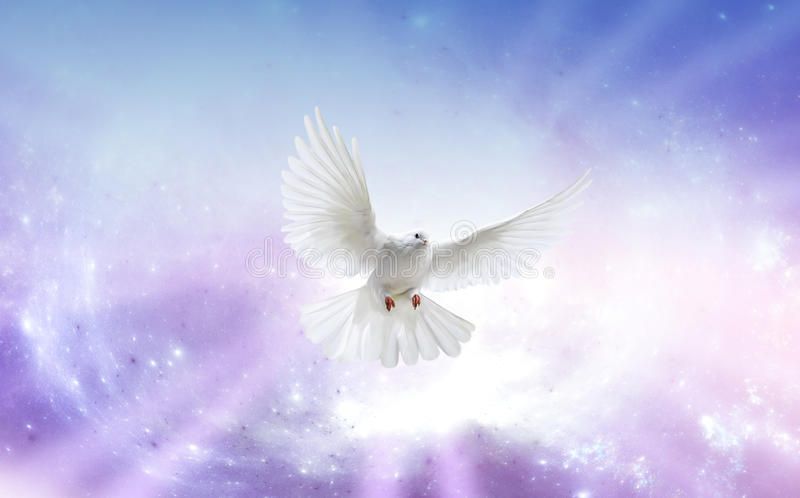 Holy Spirit Dove. White dove in a blue purple sky, symbol of faith , # ...