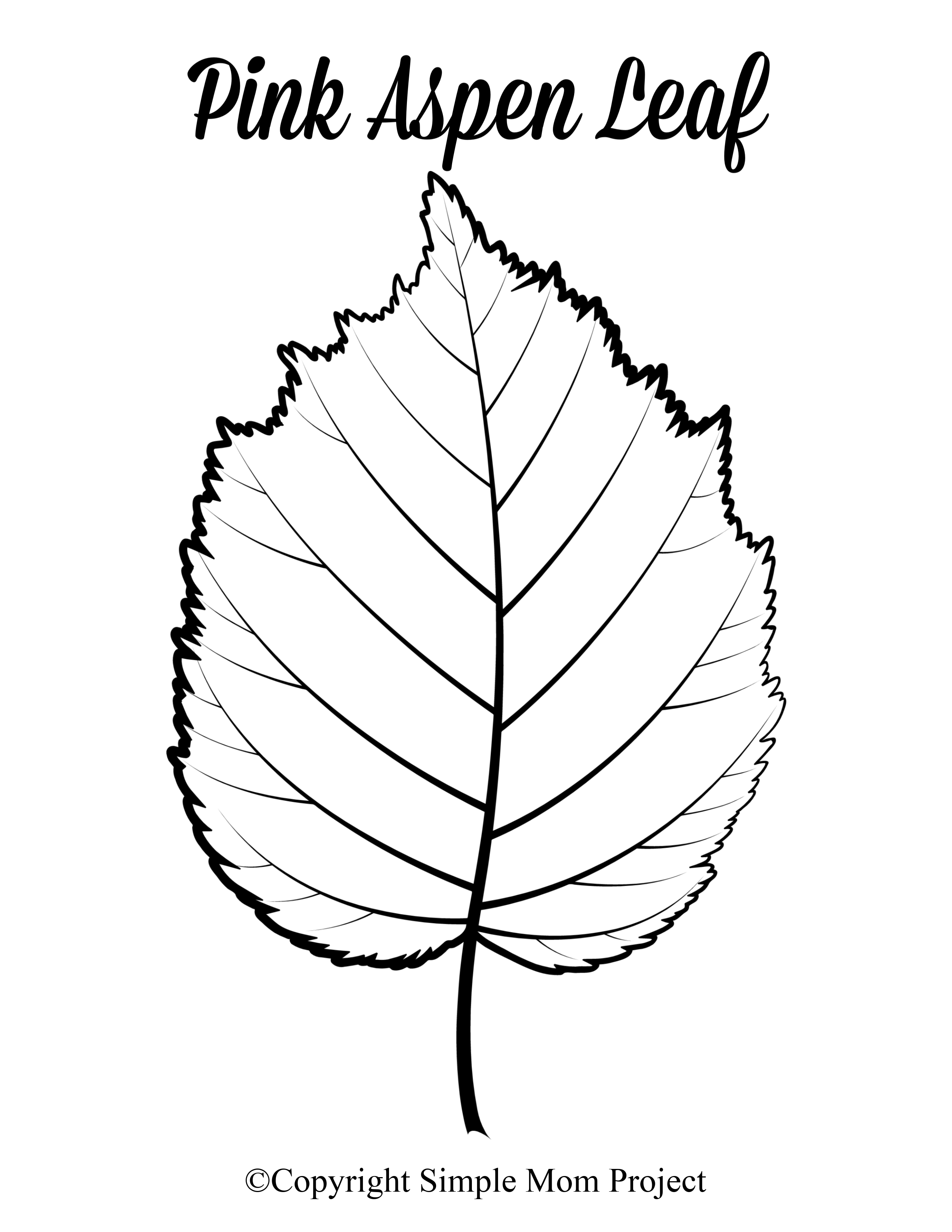 Free Printable Plant Leaf Patterns