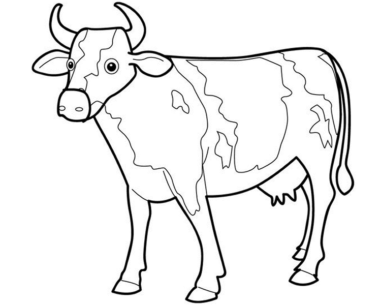 Cute And Beautiful COw Colour Drawing HD Wallpaper | Cow drawing, Cow ...