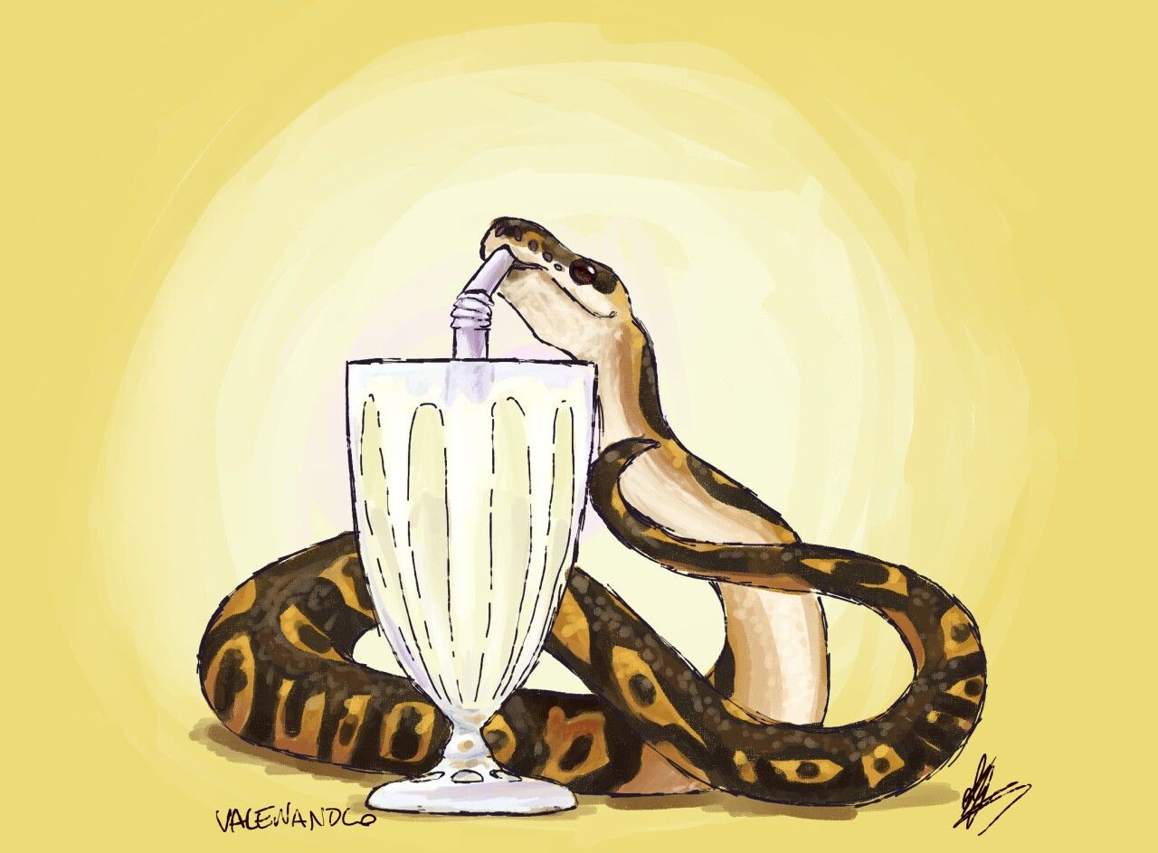 Cute Python Drawing