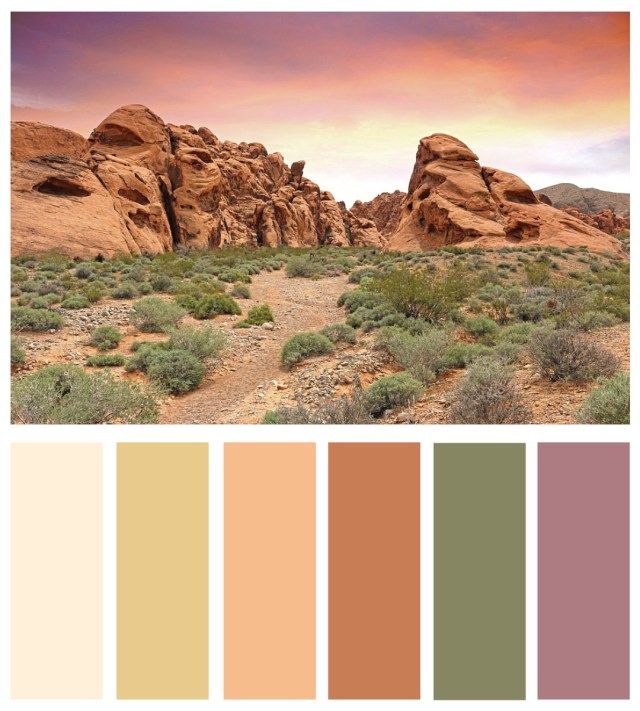 Desert inspired wedding colors. | Nature color palette, Desert color ...