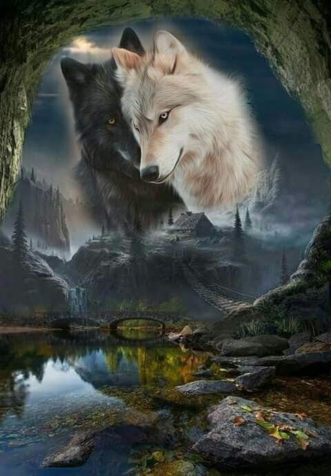 Two Majestic Wolves in a Cave