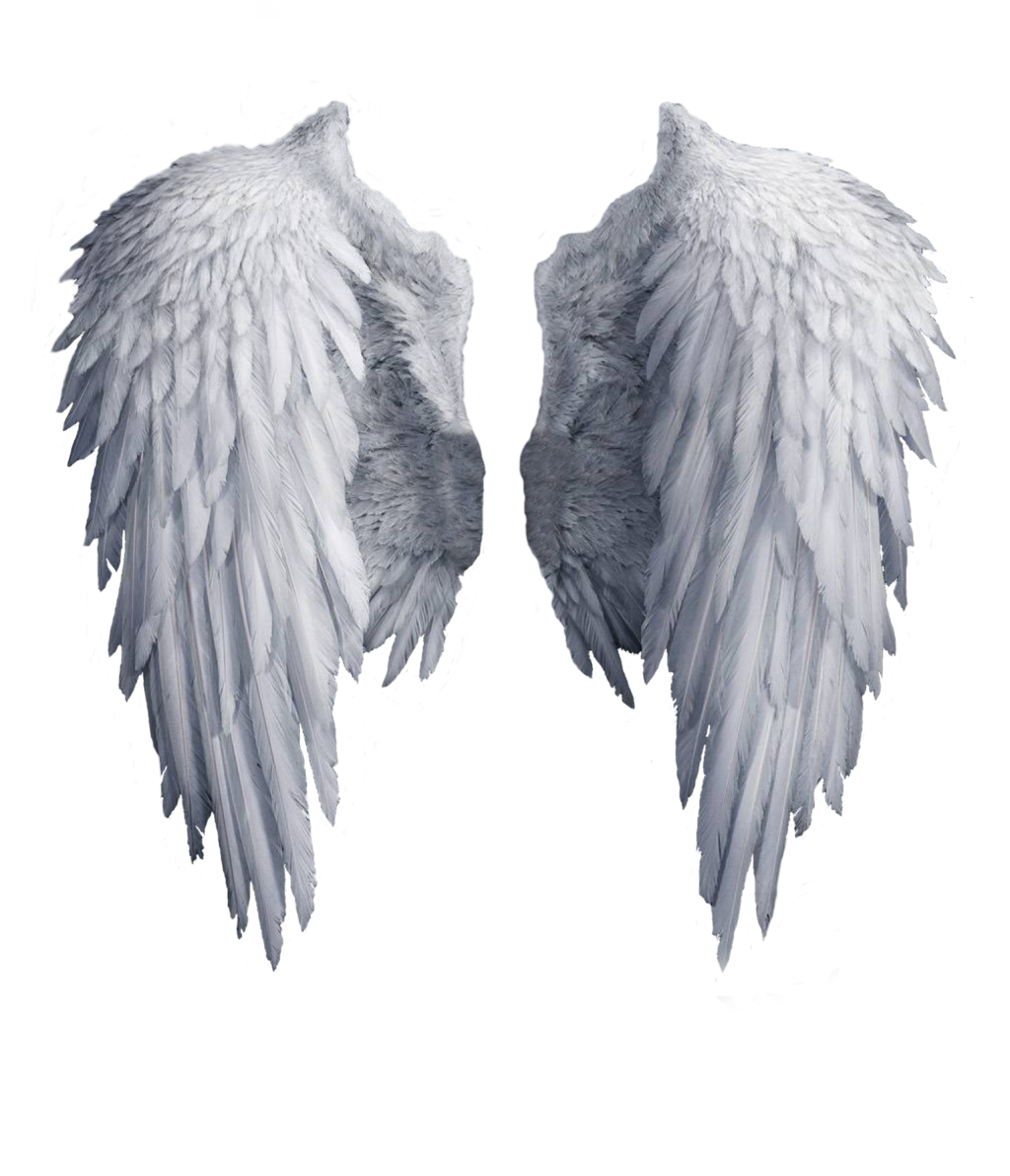 two white angel wings on a white background