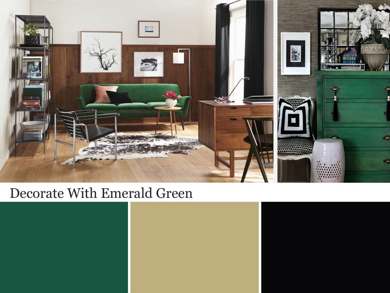 Pictures of Emerald Green Spaces Color Palette and