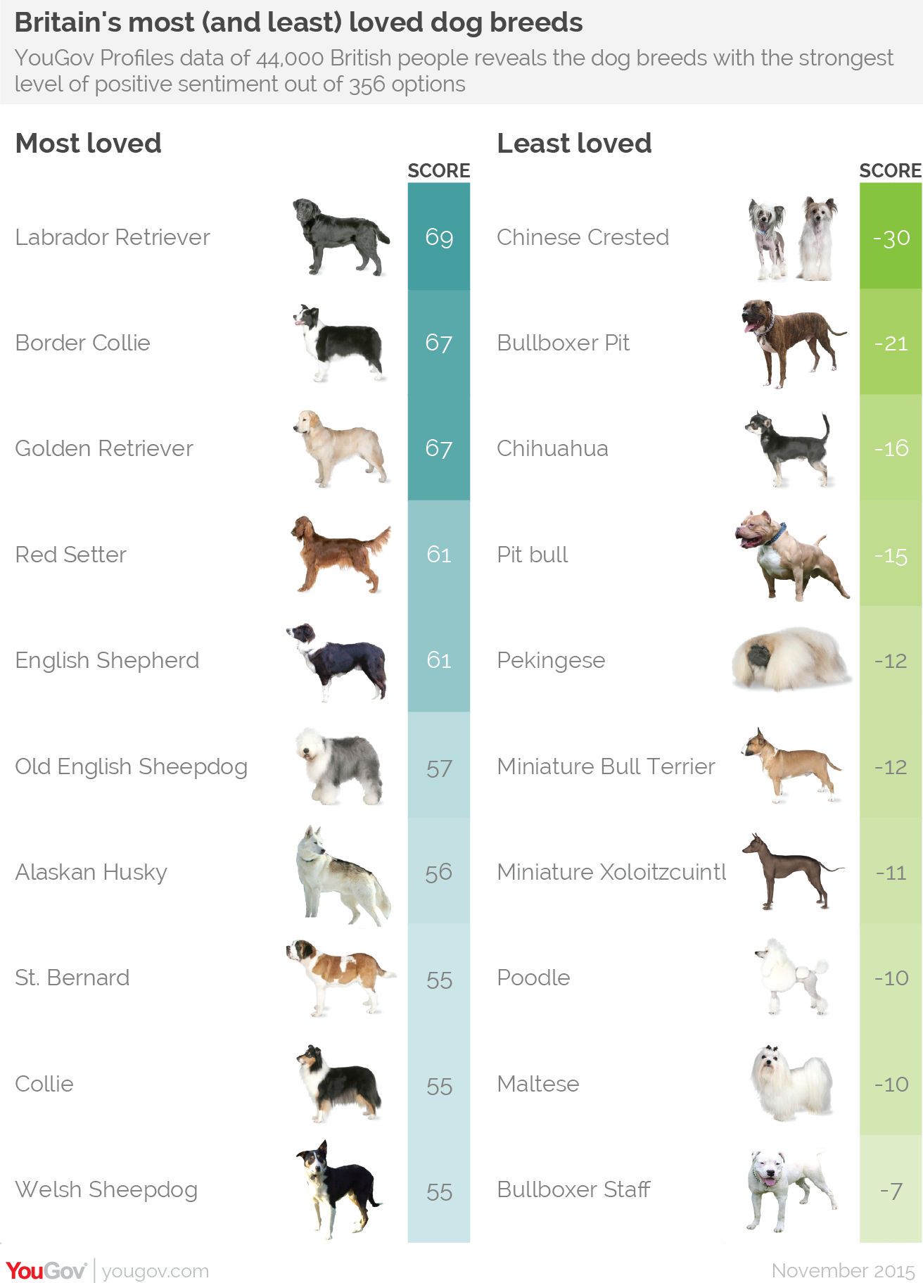 Dog Breeds Is Divided Into Two Distinct Categories; Purebred And Non- Purebred, With Purebred Dogs Breed You Have A Good I… | Dog Breeds, Puppy Stages, Purebred Dogs