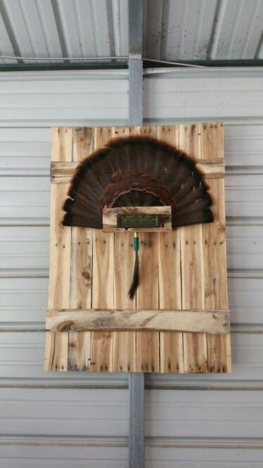 Turkey fan mount made from pallets | Diy turkey, Turkey feather decor ...