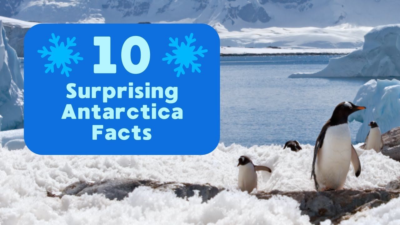 10 Surprising Antarctica Facts | Antarctica, Facts, History 10