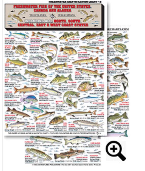 Freshwater Identification Chart #8 Contains: 64 Freshwater Fish of the ...