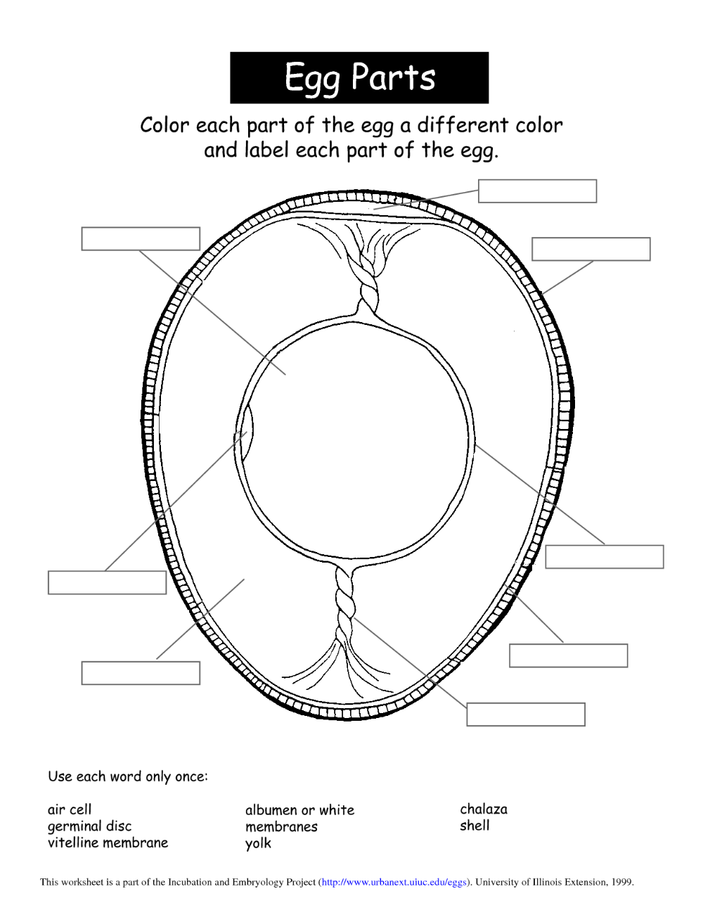 culinary arts worksheets - Google Search | Family and consumer science ...