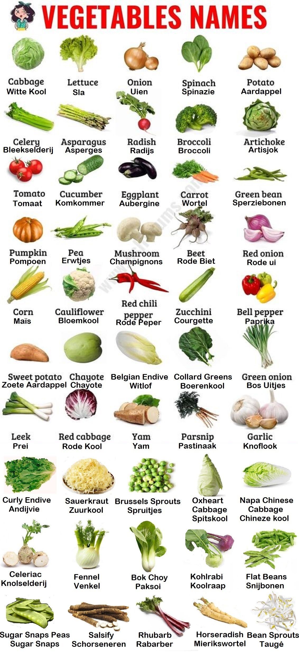 List Of Vegetables: Useful Names Of Vegetables With The Picture! Fruits ...