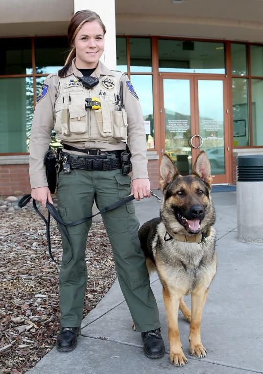 K9 Ruger and Deputy Christine Wenstrom, Coconino County Sheriff’s ...