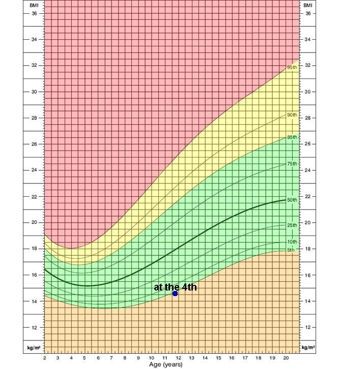 Average Bmi For 13 Year Old Female - Aljism Blog