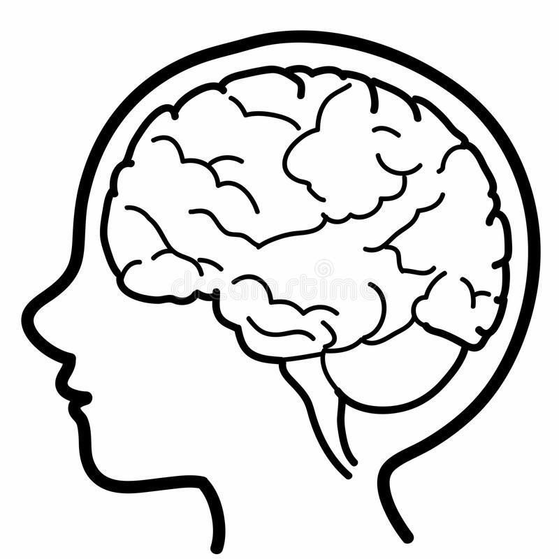 Child profile with visible brain. Vector illustration of kid profile ...