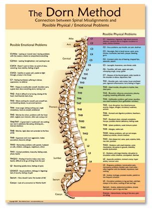 Spinal Therapy Dorn Poster | Dry needling therapy, Craniosacral therapy ...