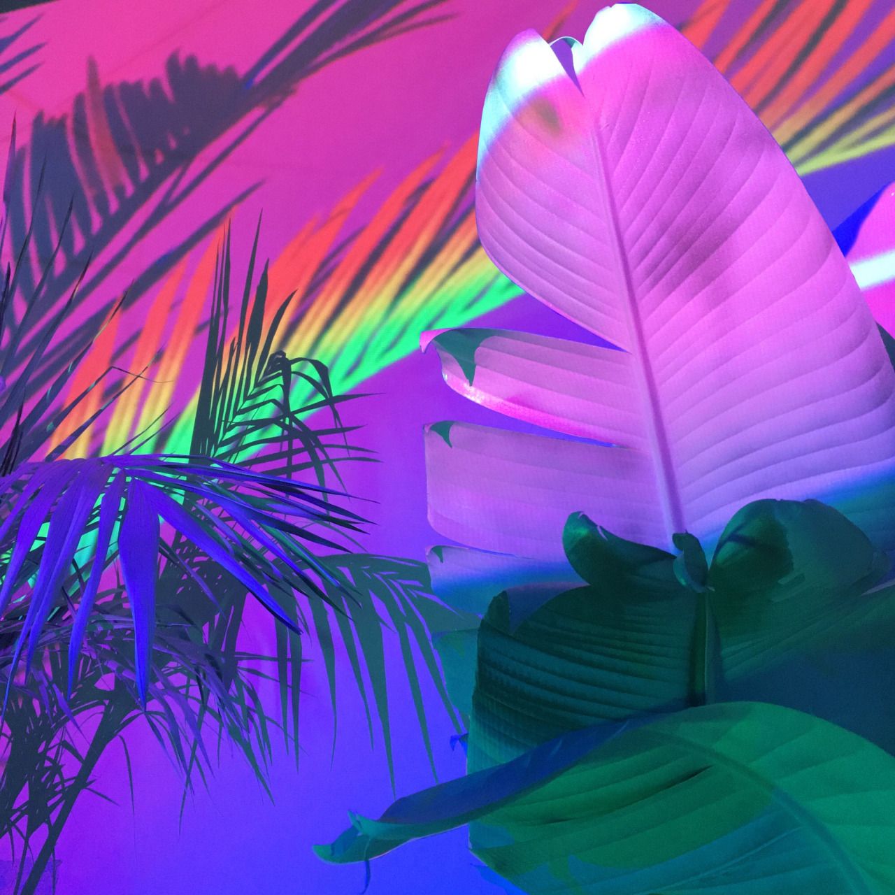 sleazeburger: “ Projecting palms onto palms Print sale happening for a ...