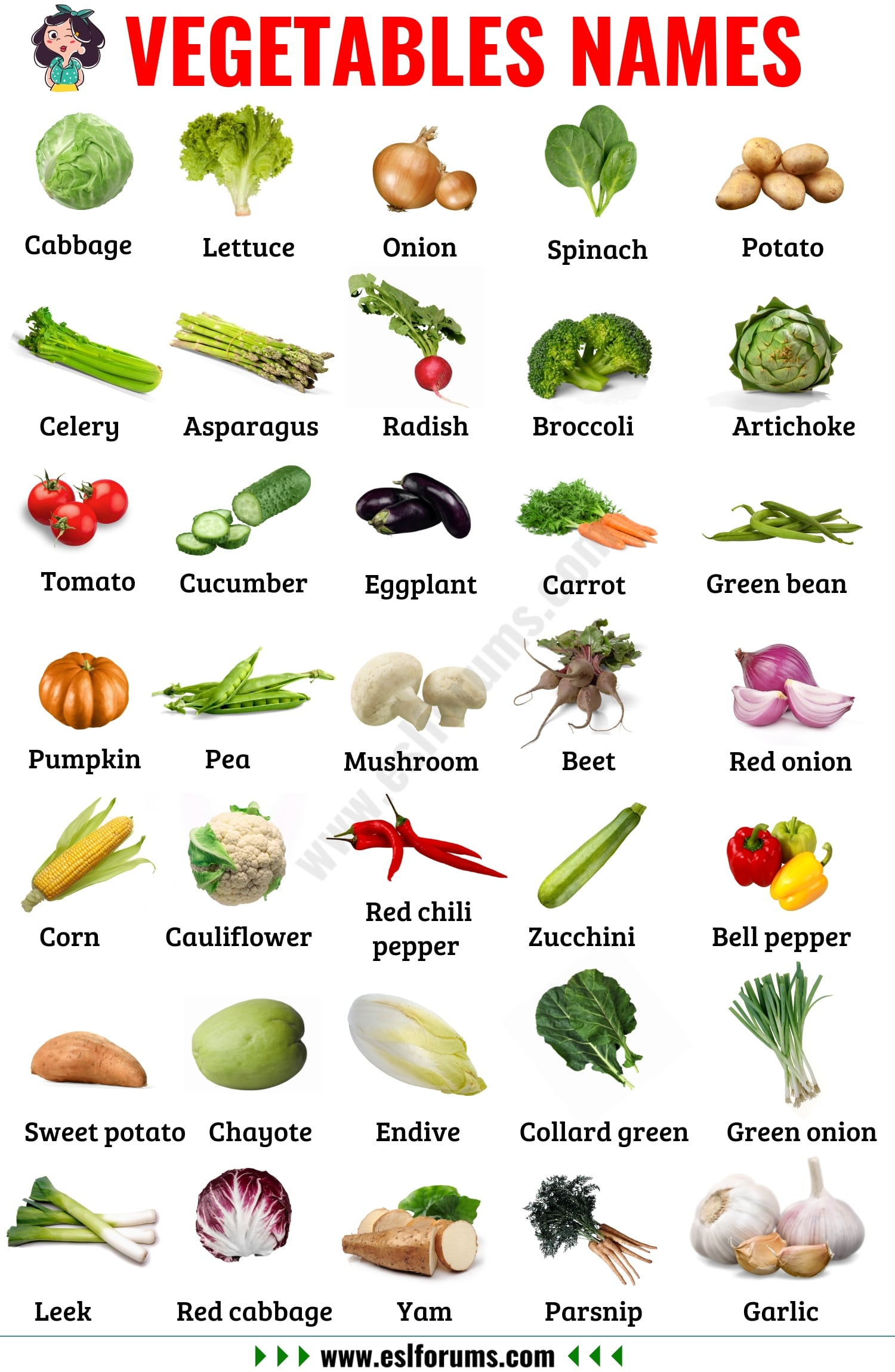 Vegetable Names: Learn Different Types of Vegetables with Pictures ...