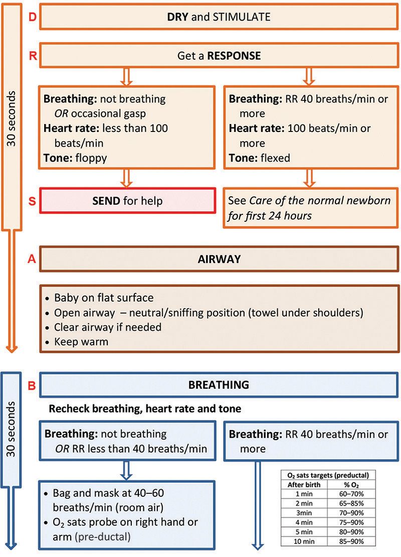 Basic Cpr Flowchart - Chart Examples