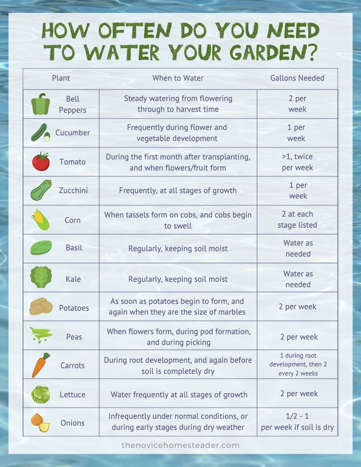 Foolproof Way to Tell When Plants Need Water - The Novice Homestead ...