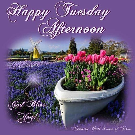 Happy Tuesday Afternoon tuesday afternoon happy tuesday tuesday ...