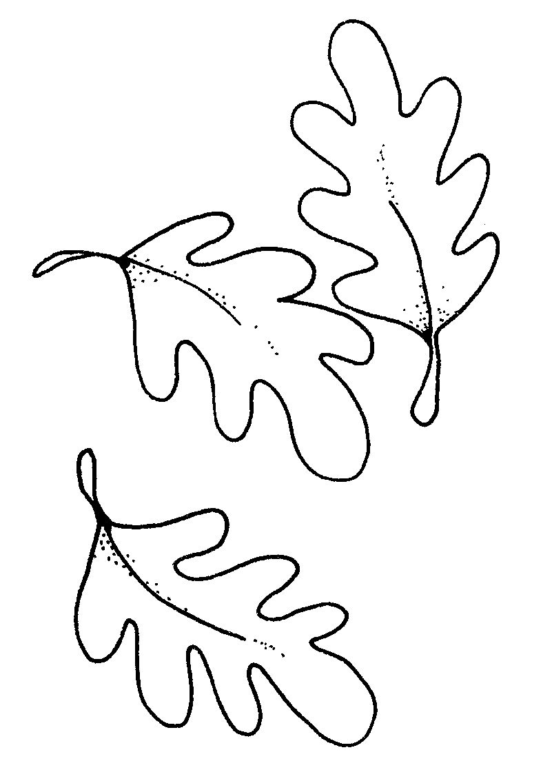 Leaves Drawing - ClipArt Best Oak Tree Leaf Tattoo, Oak Tree Tattoo ...