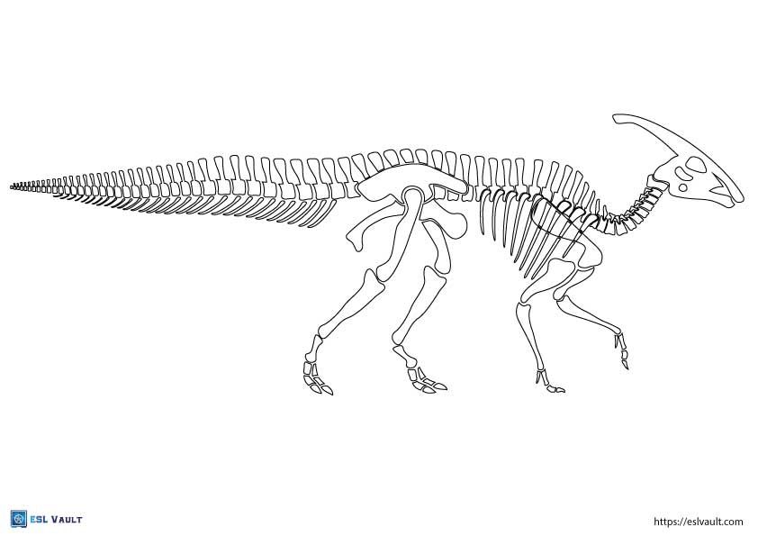 20 Free printable dinosaur skeletons (PDF) - ESL Vault in 2024 ...